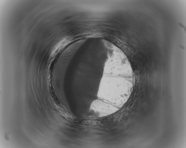 X0000097800339200804110930