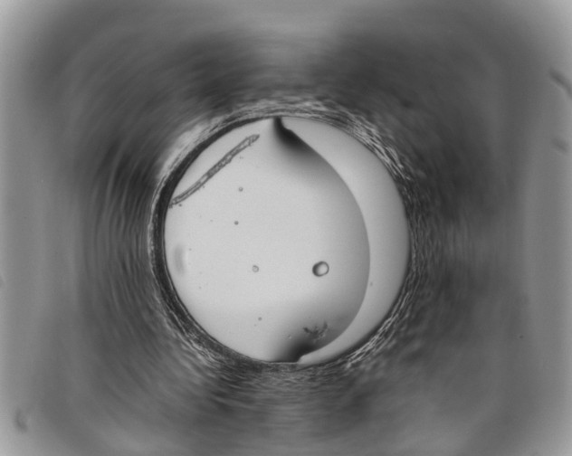 X0000097800340200804110930