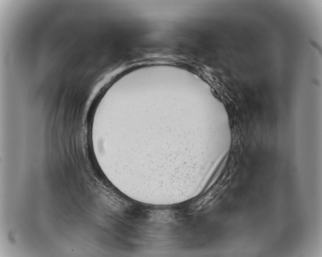 X0000097800342200804110930