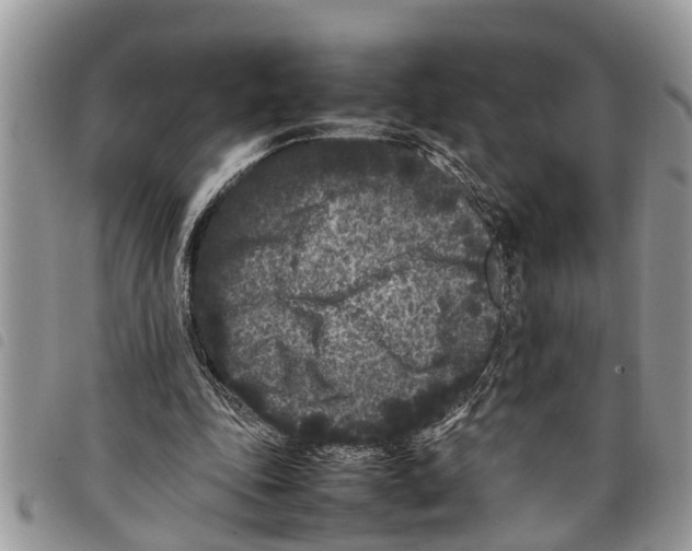 X0000097800343200804110930