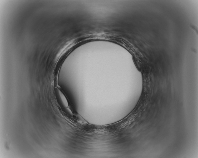 X0000097800344200804110930