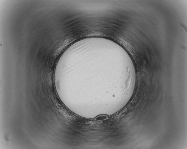 X0000097800345200804110930