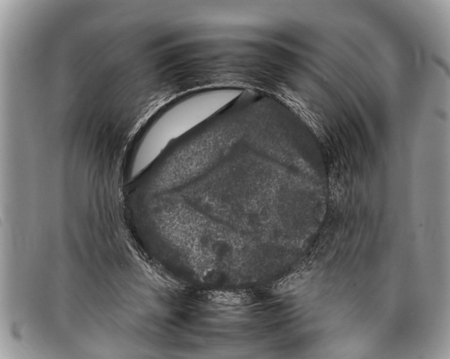 X0000097800347200804110930