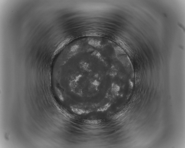 X0000097800349200804110930