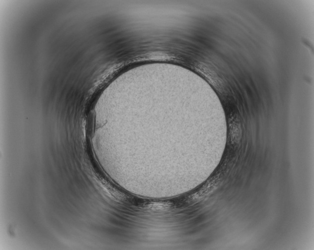 X0000097800350200804110930