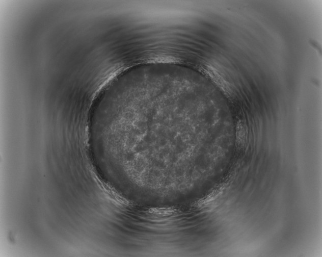 X0000097800351200804110930