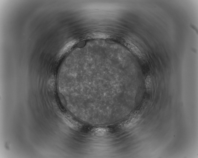 X0000097800352200804110930