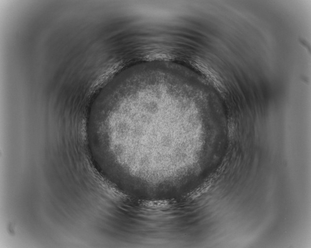 X0000097800353200804110930