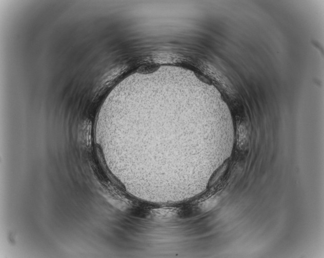 X0000097800356200804110931