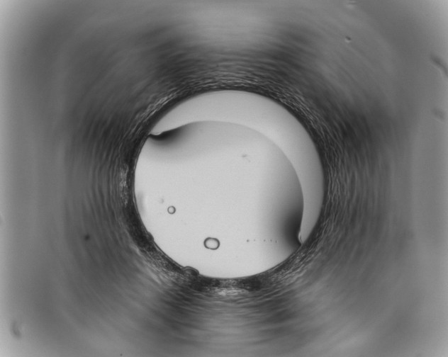 X0000097800360200804110931