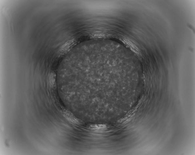 X0000097800361200804110931