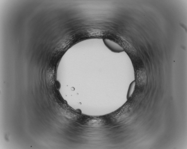 X0000097800364200804110931