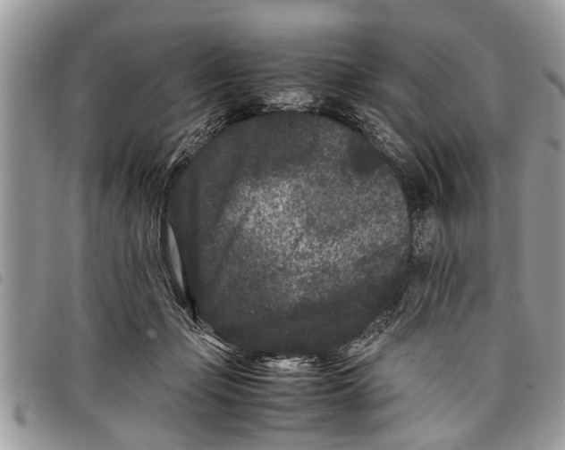 X0000097800365200804110931