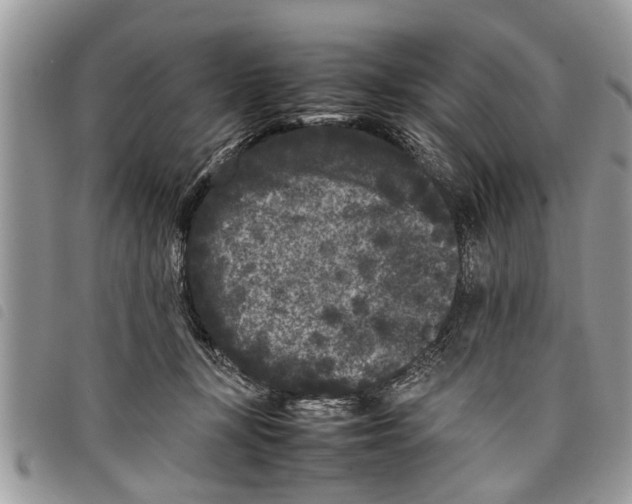 X0000097800367200804110931