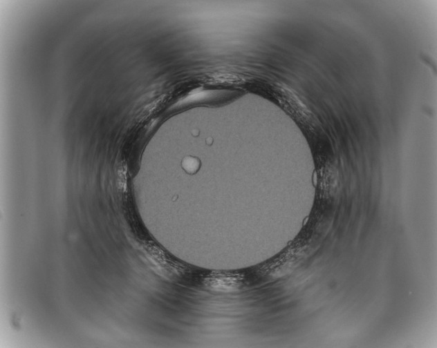 X0000097800368200804110931