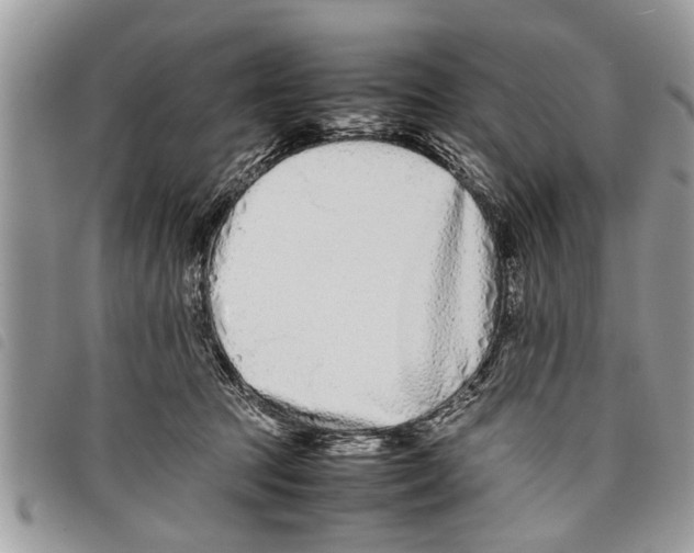 X0000097800369200804110931