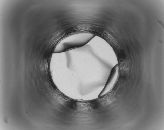 X0000097800372200804110931