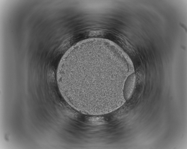 X0000097800375200804110931