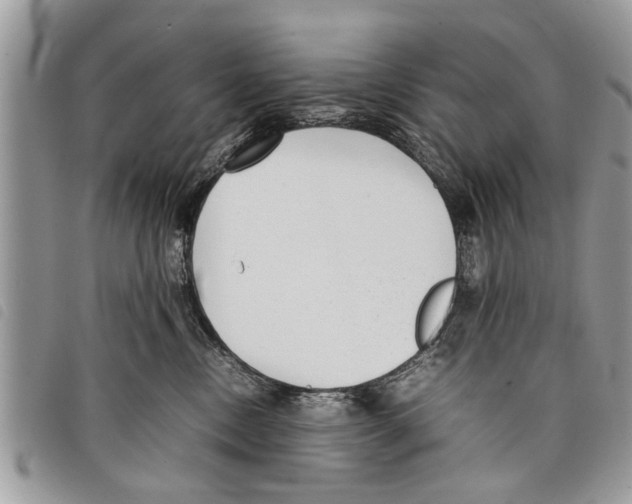 X0000097800378200804110931