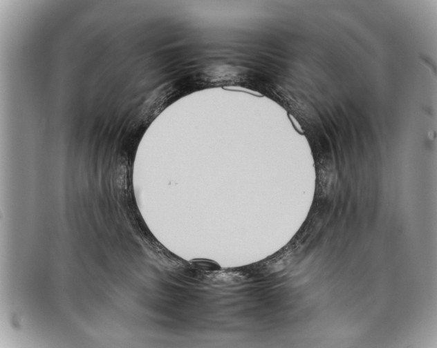 X0000097800379200804110931