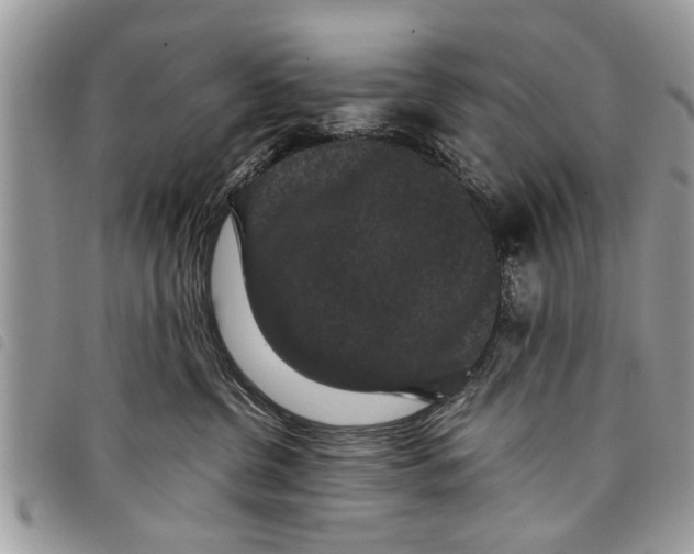 X0000097800380200804110931