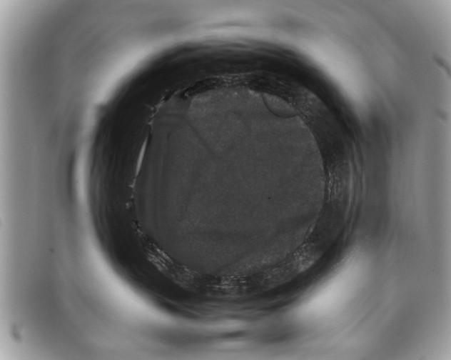 X0000097800383200804110931