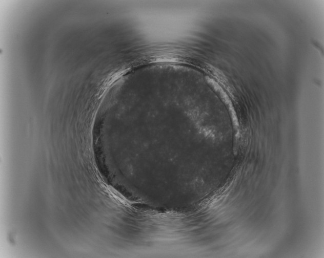 X0000097800385200804110930