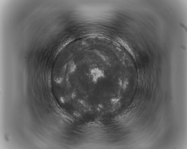 X0000097800386200804110930