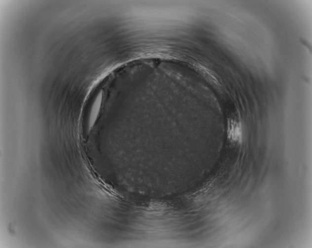 X0000097800388200804110930