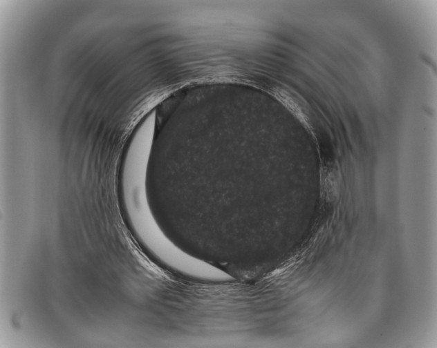 X0000097800389200804110930