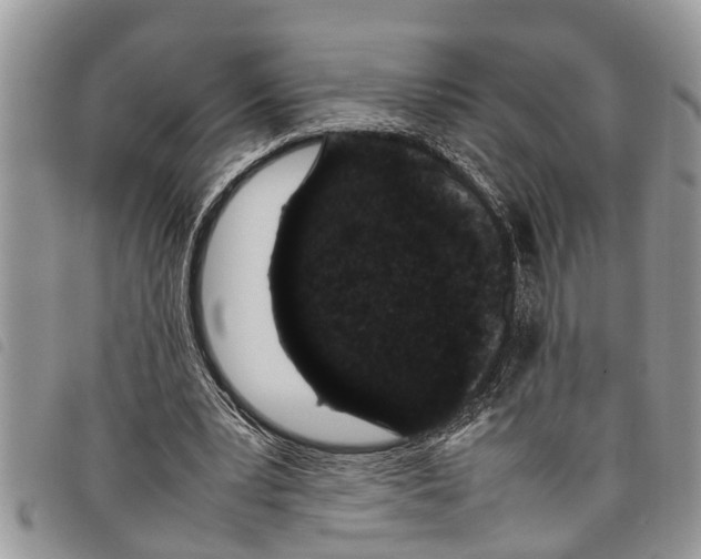 X0000097800391200804110930