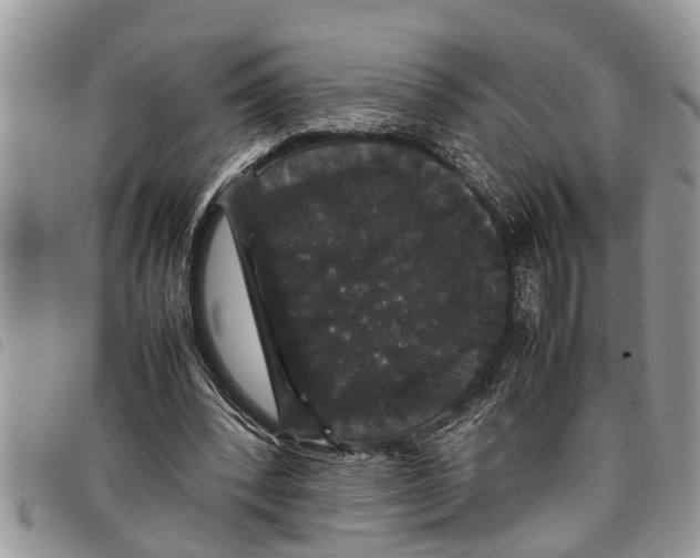 X0000097800392200804110930