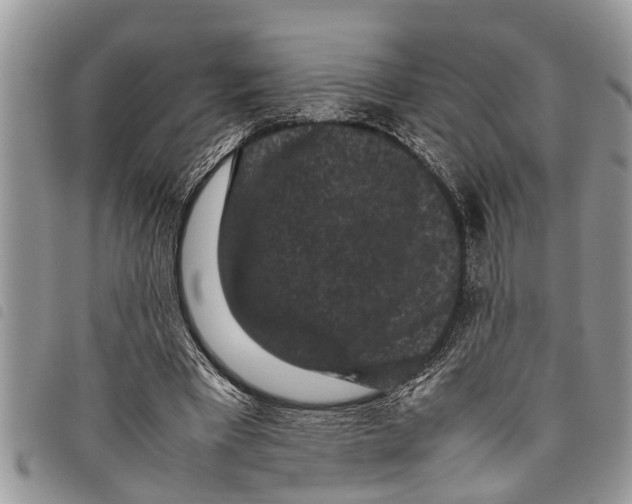 X0000097800393200804110930