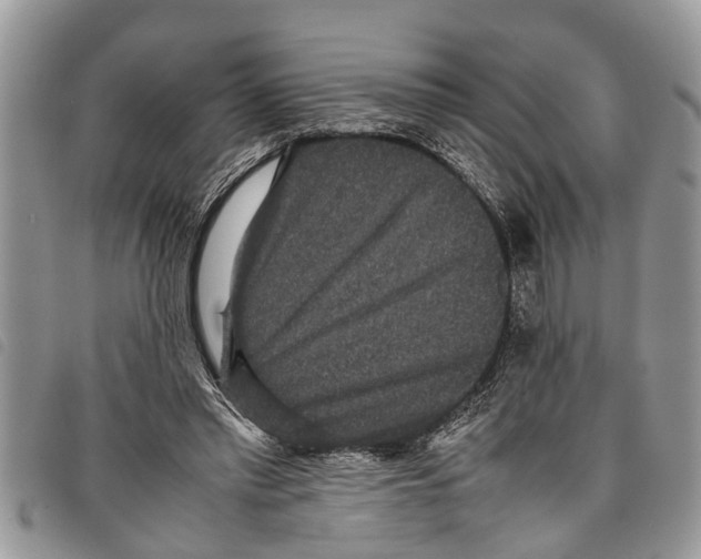 X0000097800397200804110930