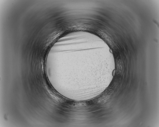 X0000097800398200804110930