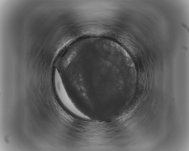 X0000097800399200804110930