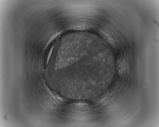 X0000097800400200804110930