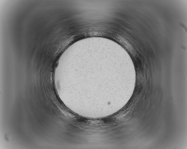 X0000097800401200804110930