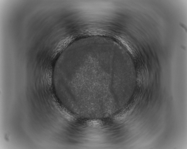 X0000097800402200804110930