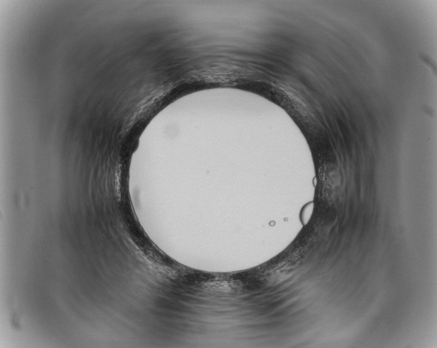 X0000097800404200804110930