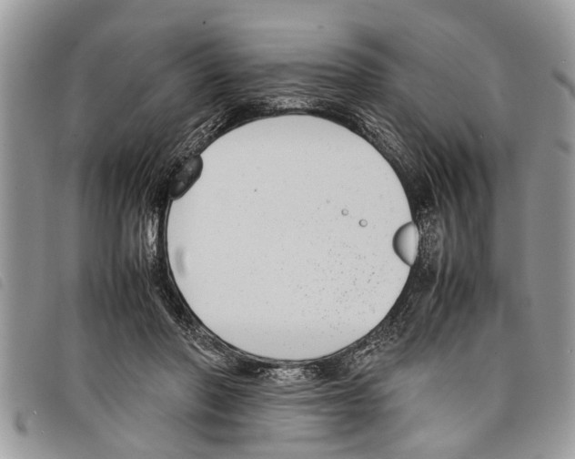 X0000097800406200804110930