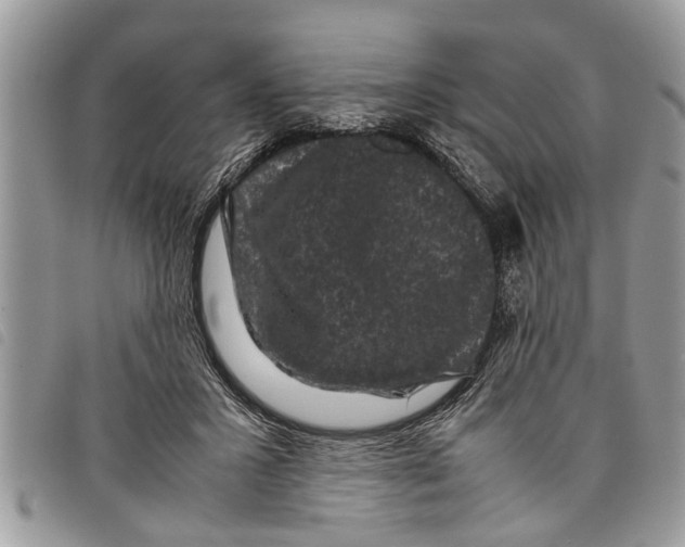 X0000097800407200804110930