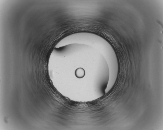 X0000097800409200804110930