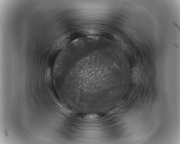 X0000097800410200804110930