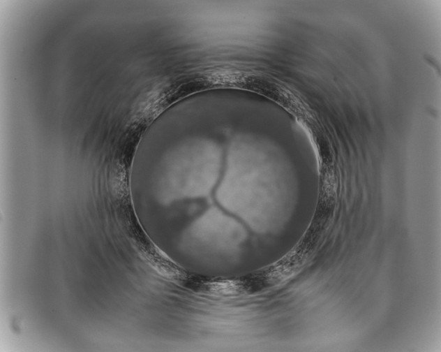 X0000097800411200804110930