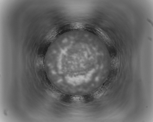 X0000097800415200804110930