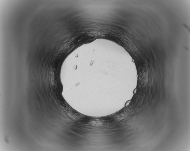 X0000097800416200804110930