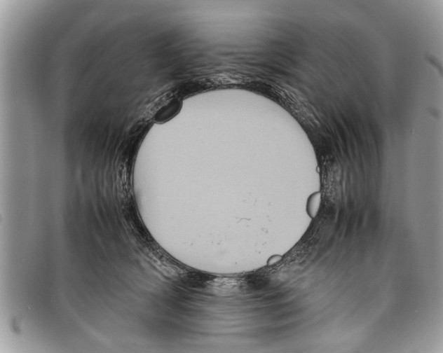 X0000097800418200804110930