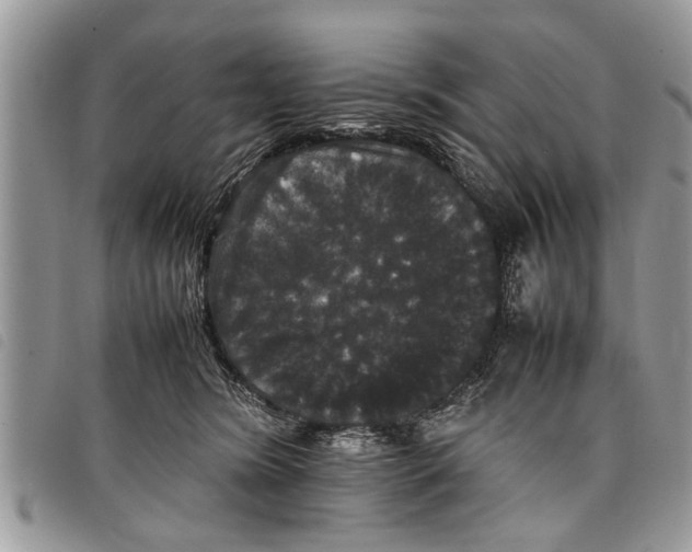 X0000097800420200804110930