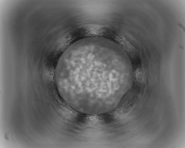 X0000097800423200804110930